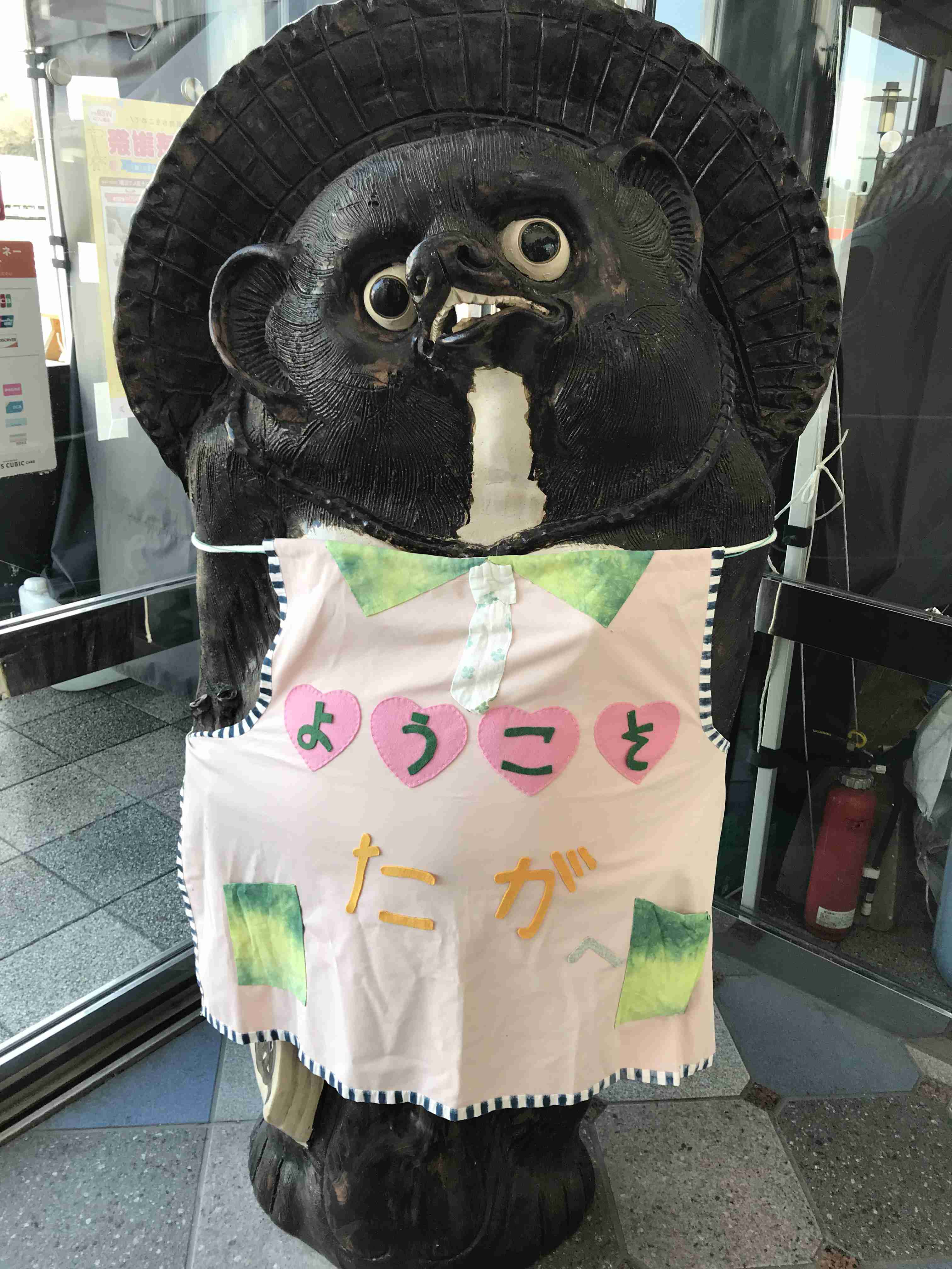 たぬき!狸!Tanuki!