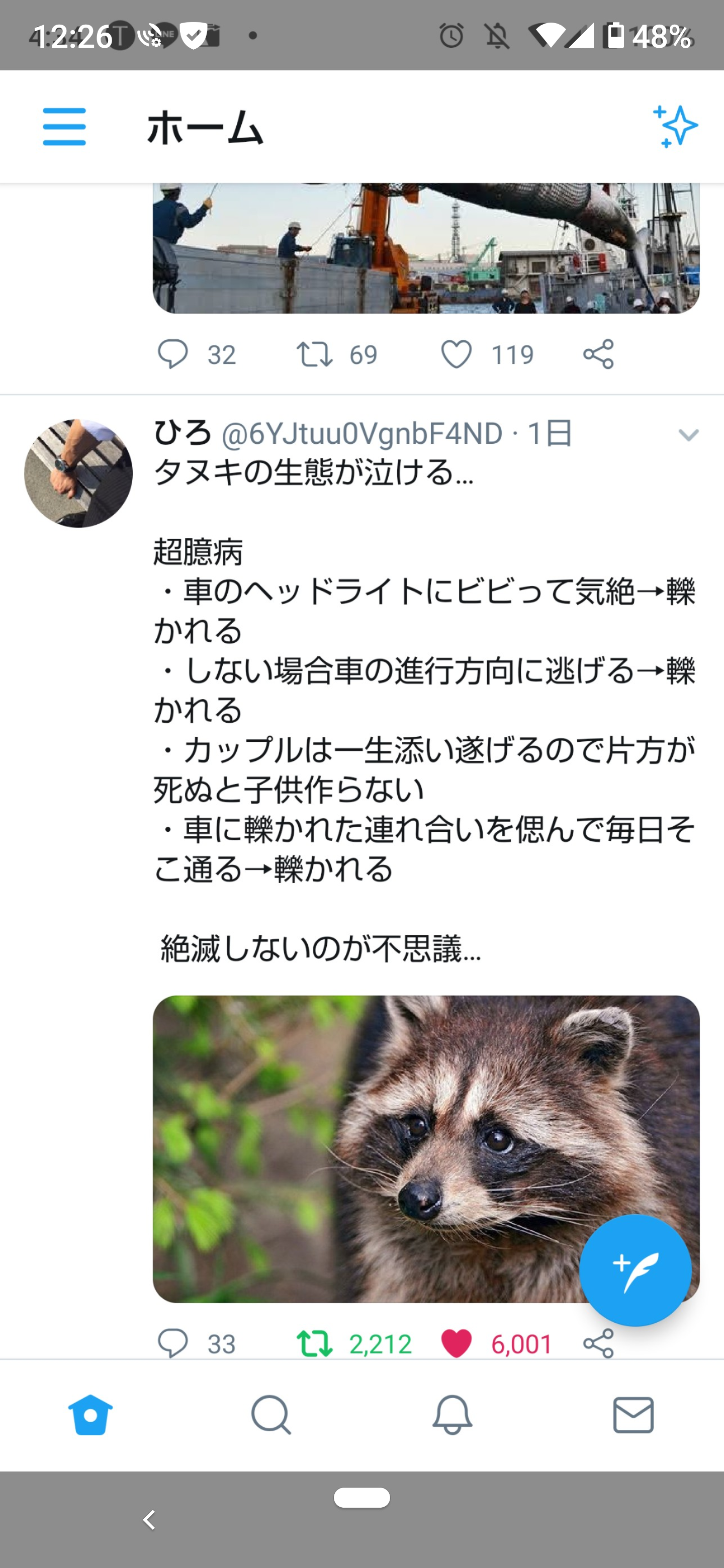 たぬき!狸!Tanuki!