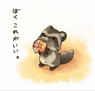 たぬき!狸!Tanuki!