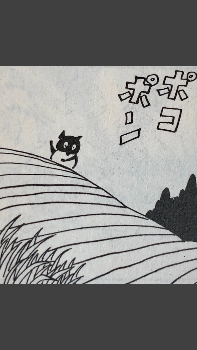 たぬき!狸!Tanuki!