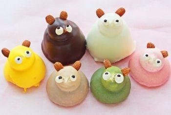 たぬき!狸!Tanuki!