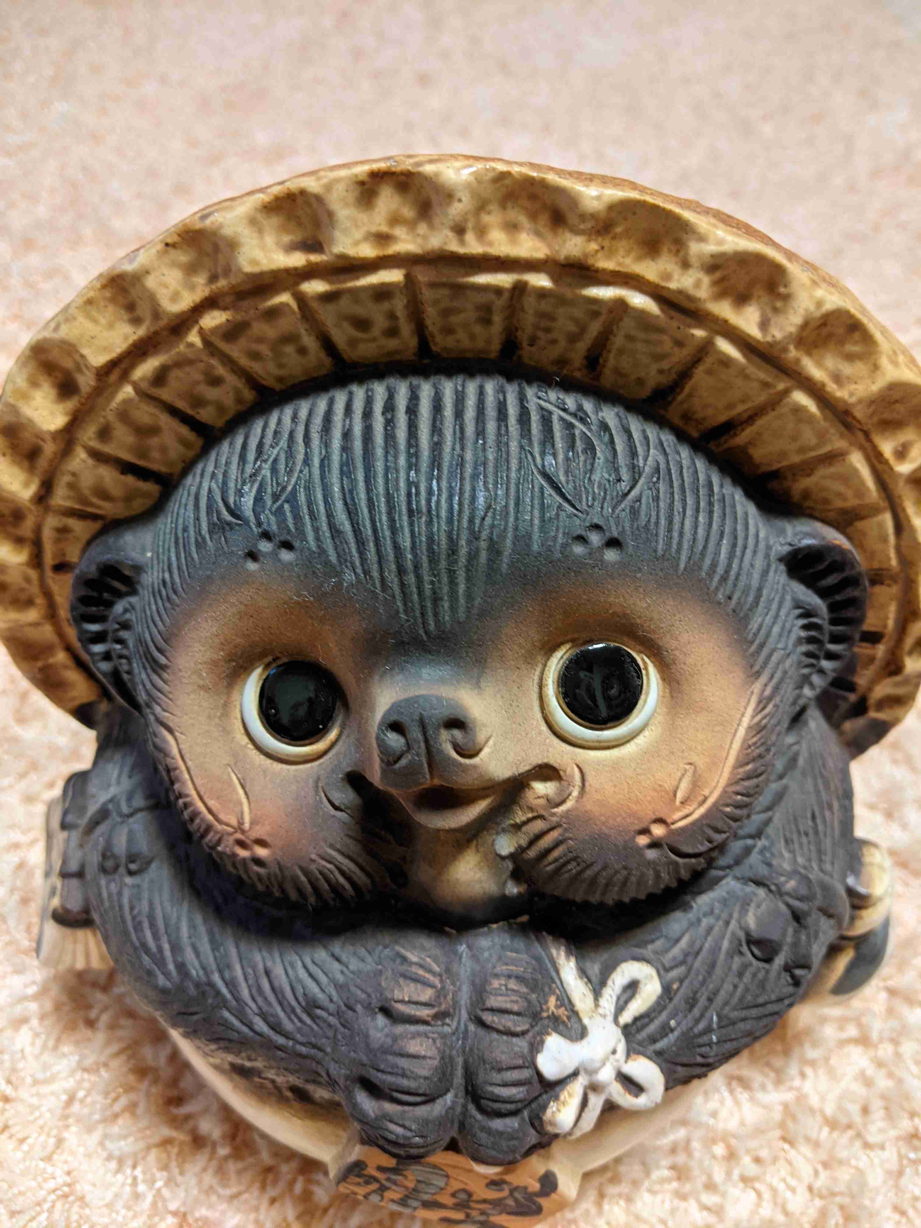 たぬき!狸!Tanuki!