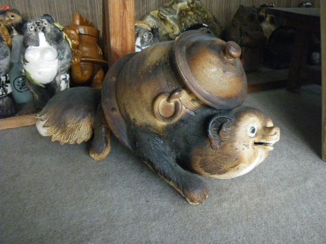 たぬき!狸!Tanuki!