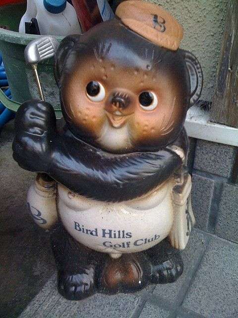 たぬき!狸!Tanuki!