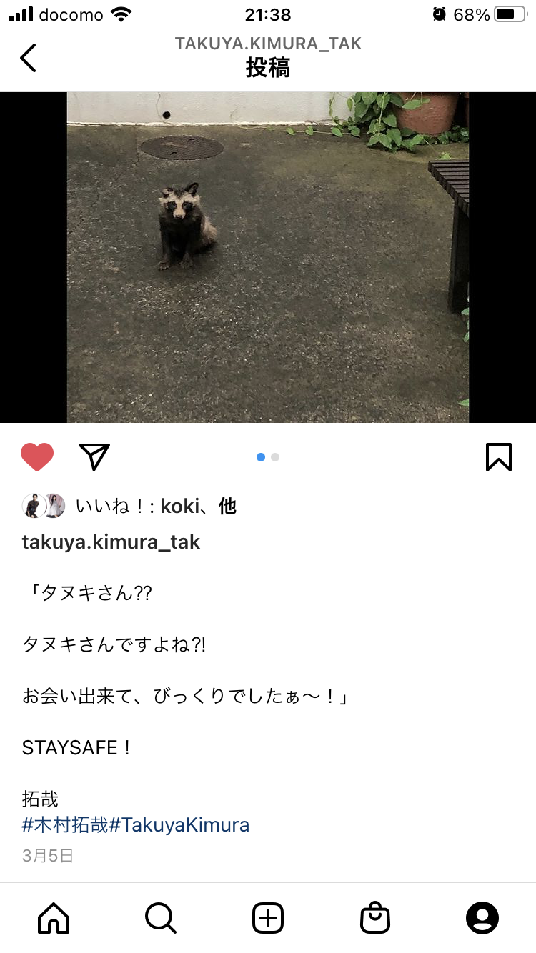 たぬき!狸!Tanuki!