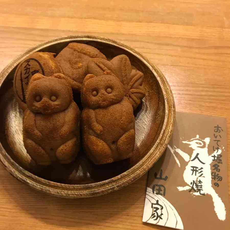 たぬき!狸!Tanuki!