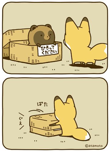 たぬき!狸!Tanuki!