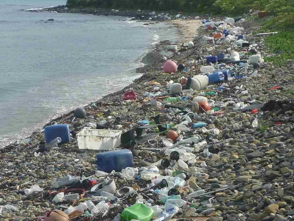プラスチック新法案まとまる　スプーン有料化も検討