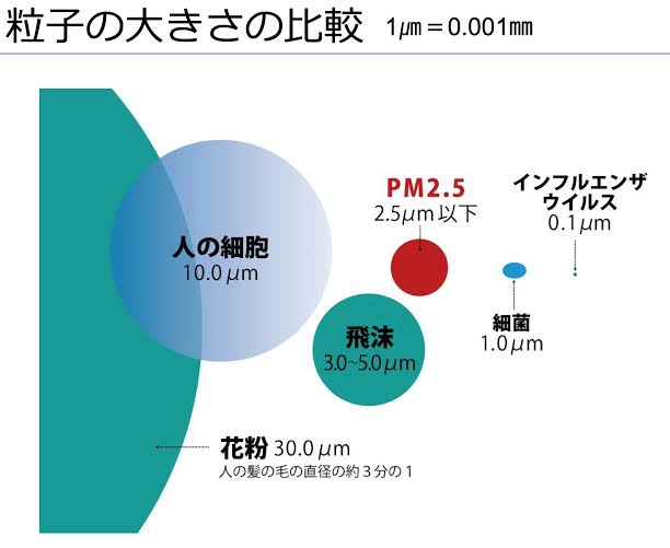 花粉症での鼻詰まり解消「箱ティッシュ」「鼻うがい」に潜む危険性
