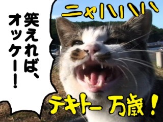 ズボラに楽に生きるために。