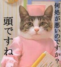 小室哲哉「協力したい」KEIKOへまさかの再プロデュース提案