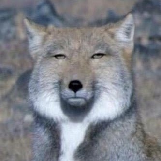 小室哲哉「協力したい」KEIKOへまさかの再プロデュース提案