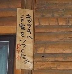 玄関ドアをノックし続ける白鳥　家中に響き渡る音に住民困惑（英）