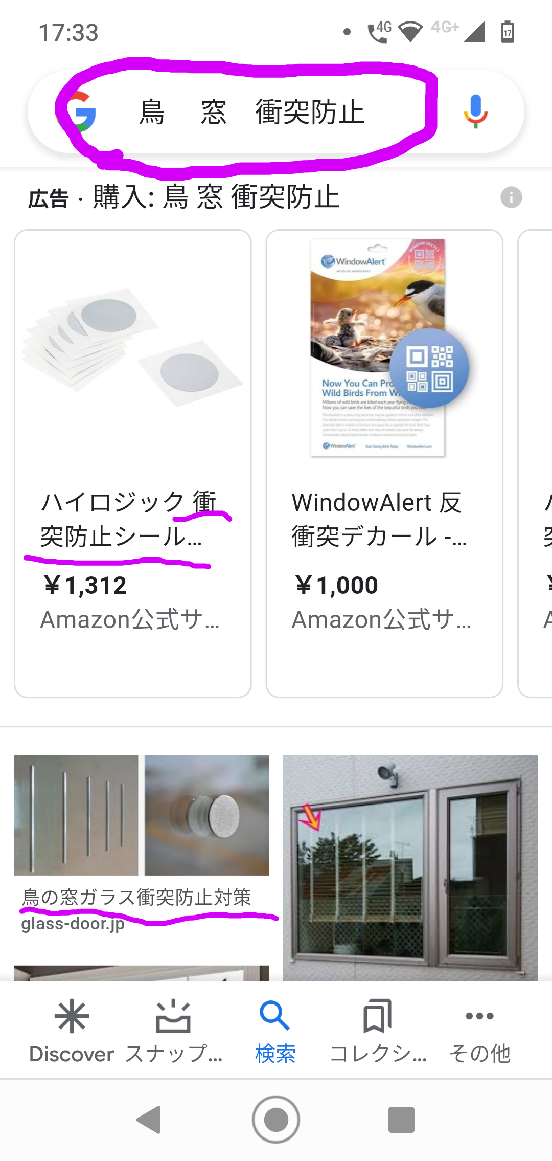玄関ドアをノックし続ける白鳥　家中に響き渡る音に住民困惑（英）
