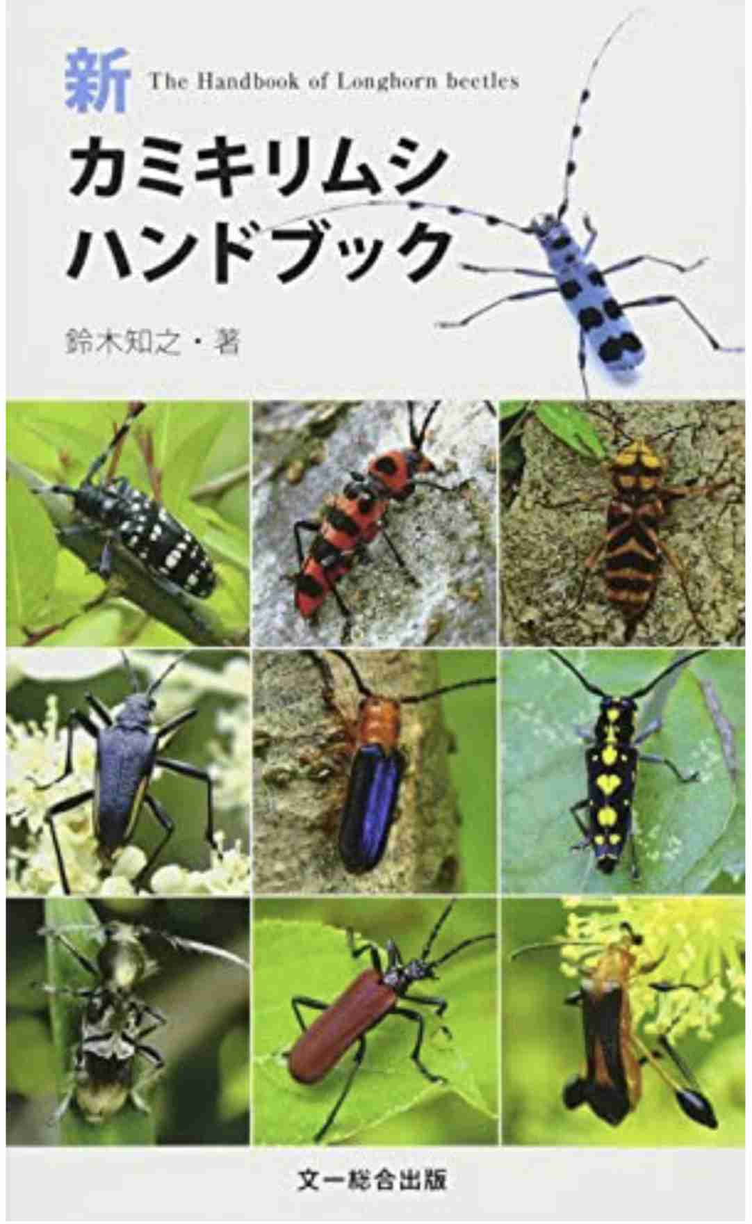 【閲覧注意】虫系のゾッとする話、恐怖体験part3