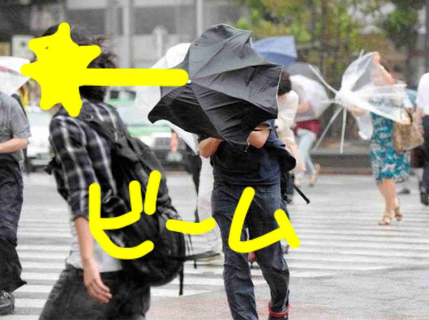 強風時、意地でも傘をさしている人について