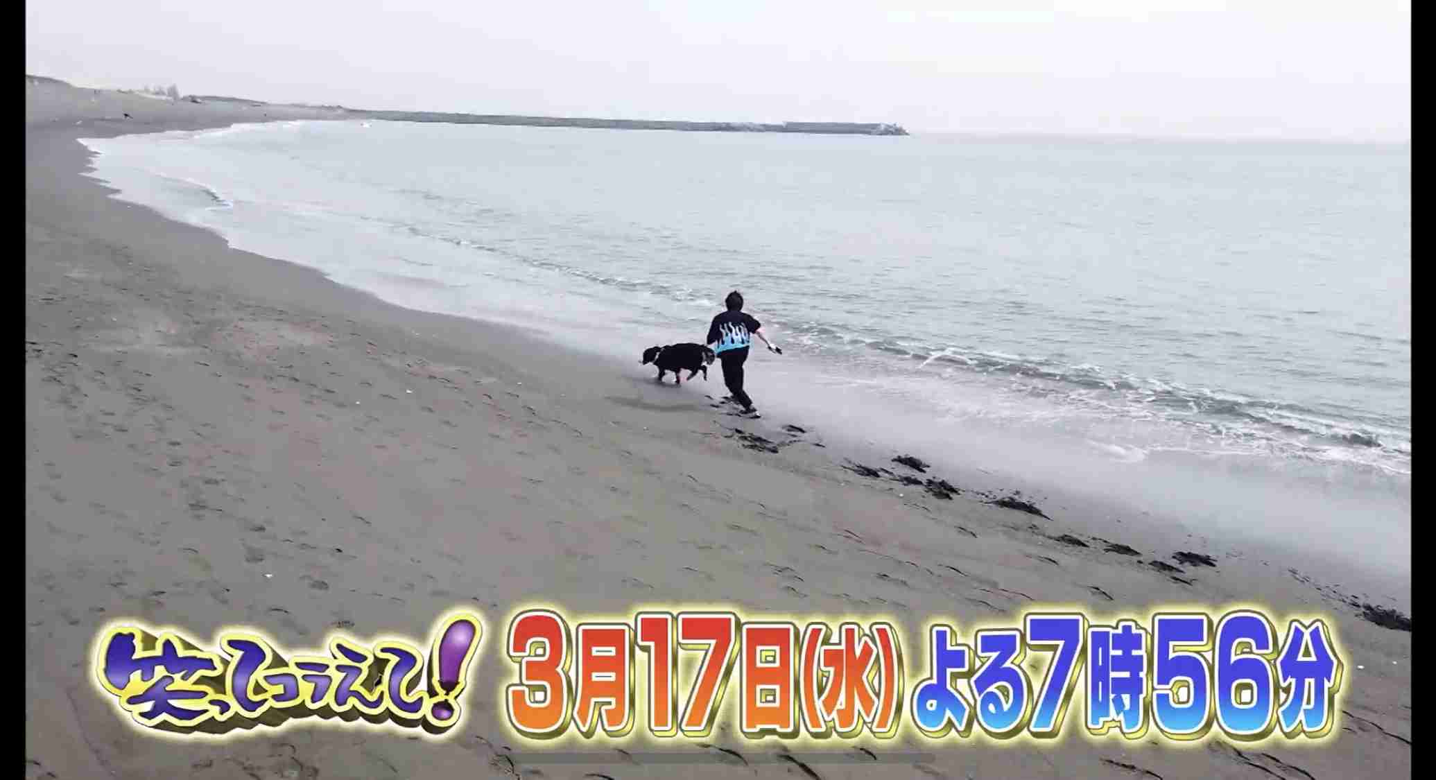 ジャニーズWEST「メンバーと生活をシェア」 『MORE』初表紙&8P特集 