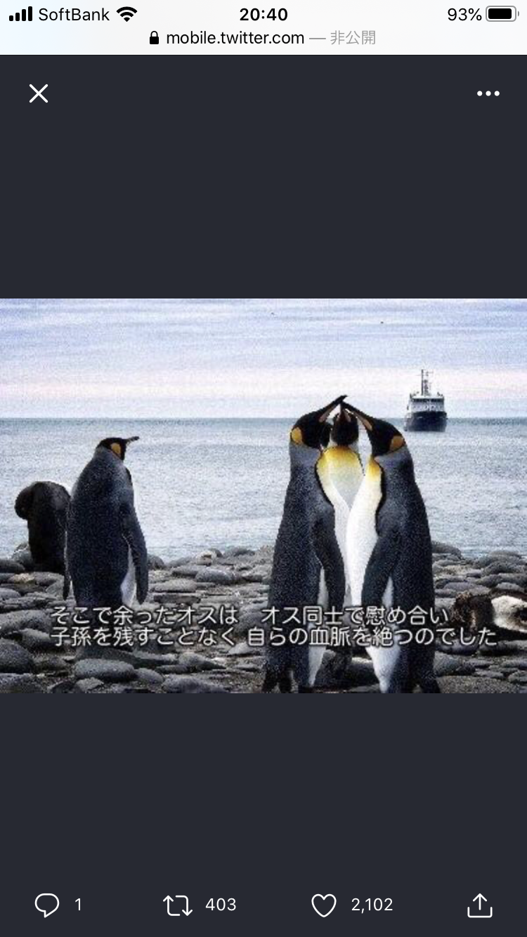 ガルちゃんで使えるかも!と保存してるけど出番の来ない画像part4