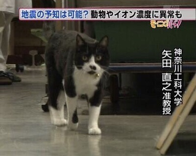 ガルちゃんで使えるかも!と保存してるけど出番の来ない画像part4