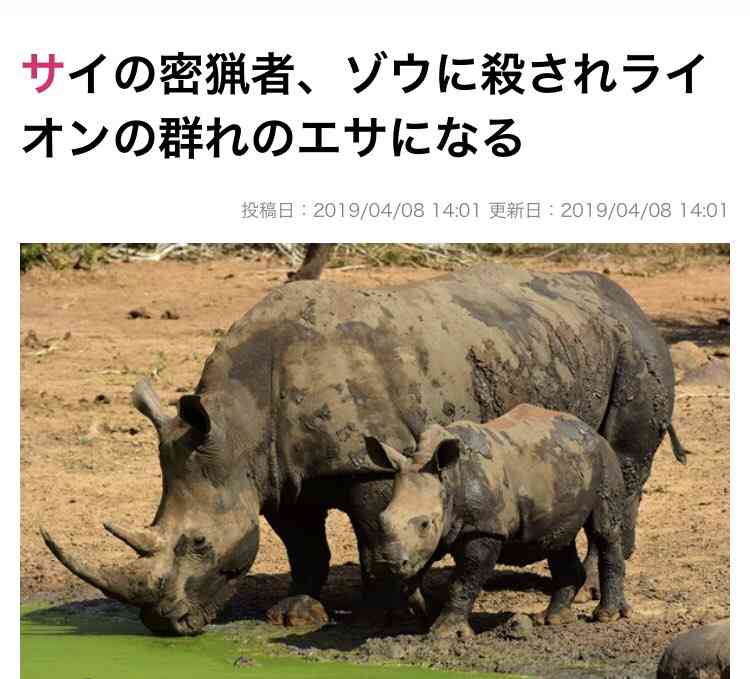 ガルちゃんで使えるかも!と保存してるけど出番の来ない画像part4