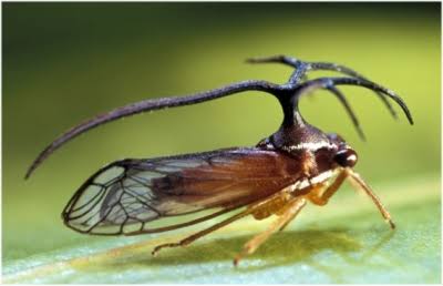 宇宙について知っていること2