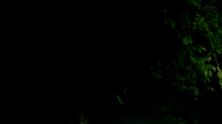 【ドラマ】『30歳まで童貞だと魔法使いになれるらしい』を語ろう♪ Part2