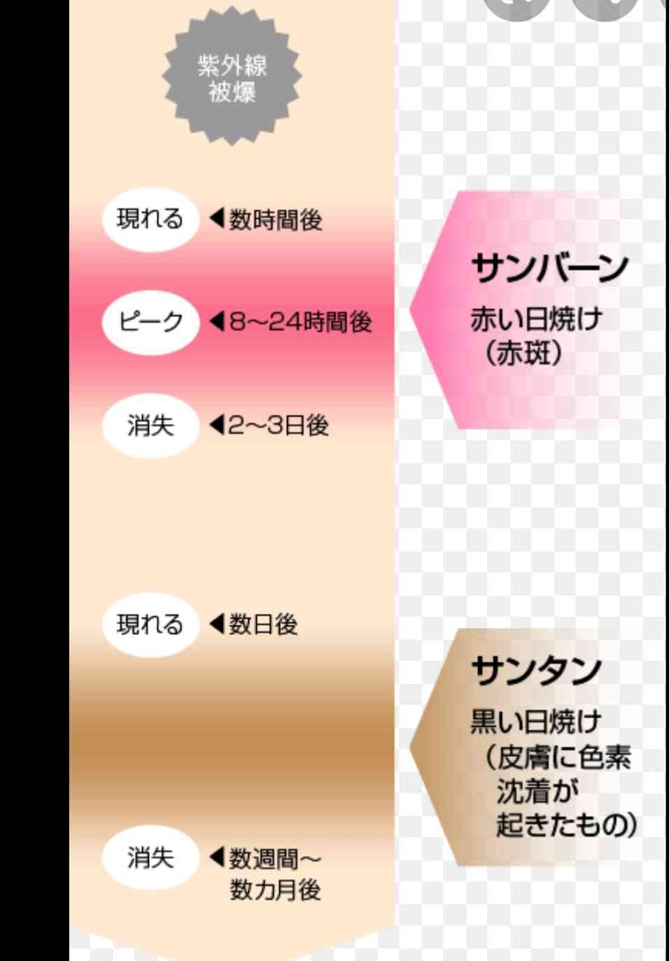 日焼け止めの塗り直し