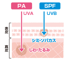 日焼け止めの塗り直し