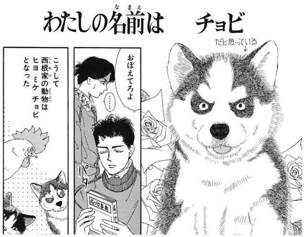 なくてもよかったなと思うキャラクター設定