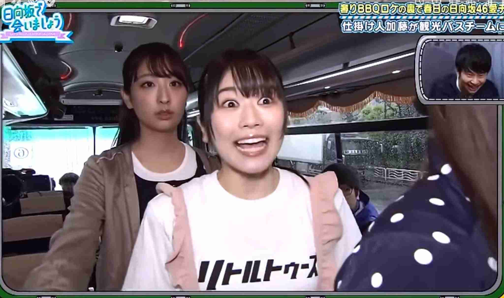 【ファン限定】日向坂46を語りたい【祝・デビュー2周年】