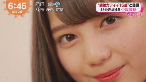 【ファン限定】日向坂46を語りたい【祝・デビュー2周年】