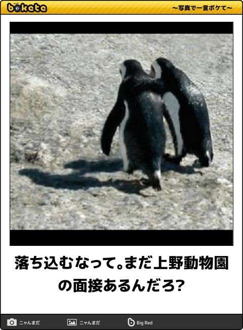 最近面接落ちた人