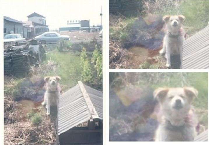 【閲覧注意】貼られた心霊写真を見て語るトピpart8