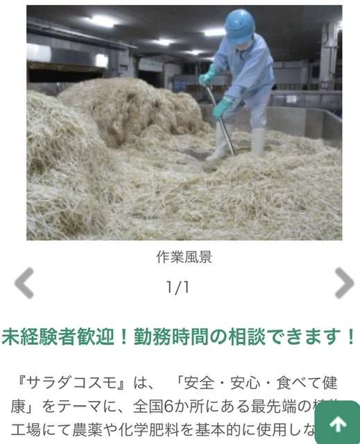 知らなかった…もやしの「上手な保存方法」が反響　メーカーは「洗わずそのままお召し上がりください」
