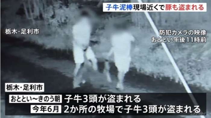 「無資格で美容整形」ベトナム人夫婦を逮捕 カエルの解剖で学んだ