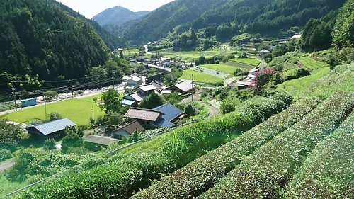 地方に住むということ