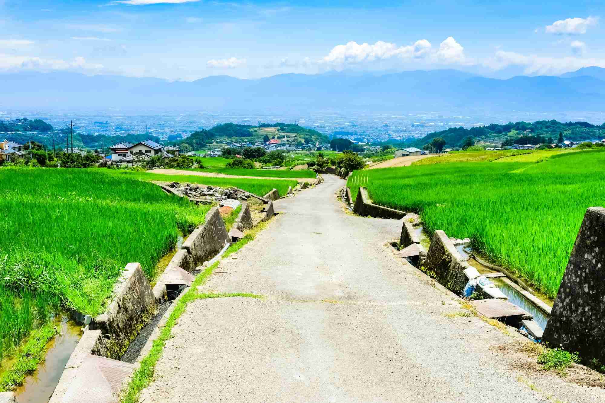 地方に住むということ