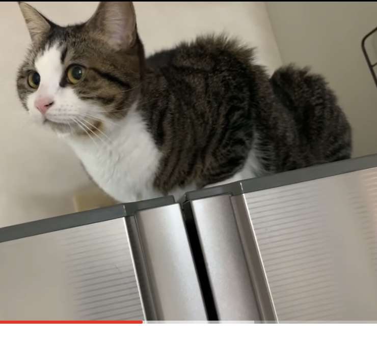 ちょっとズルくない？って思うこと