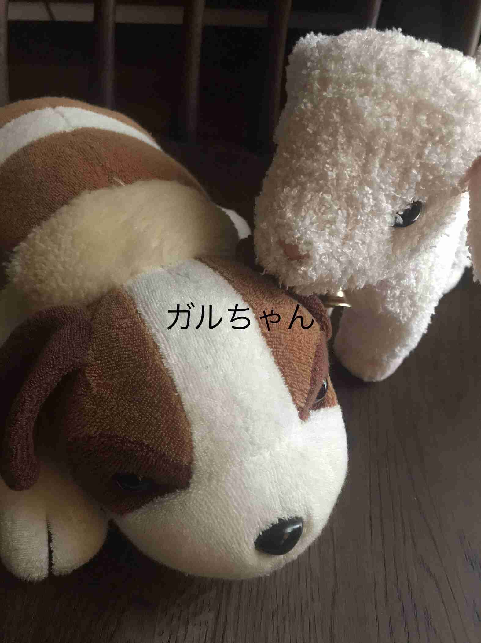 【定期トピ】雑誌付録4・5月号