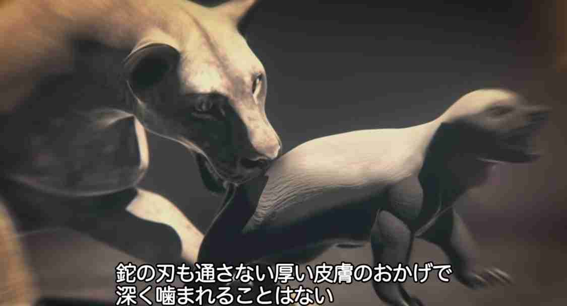 陸上で2番目に強い野生動物って何だと思いますか？