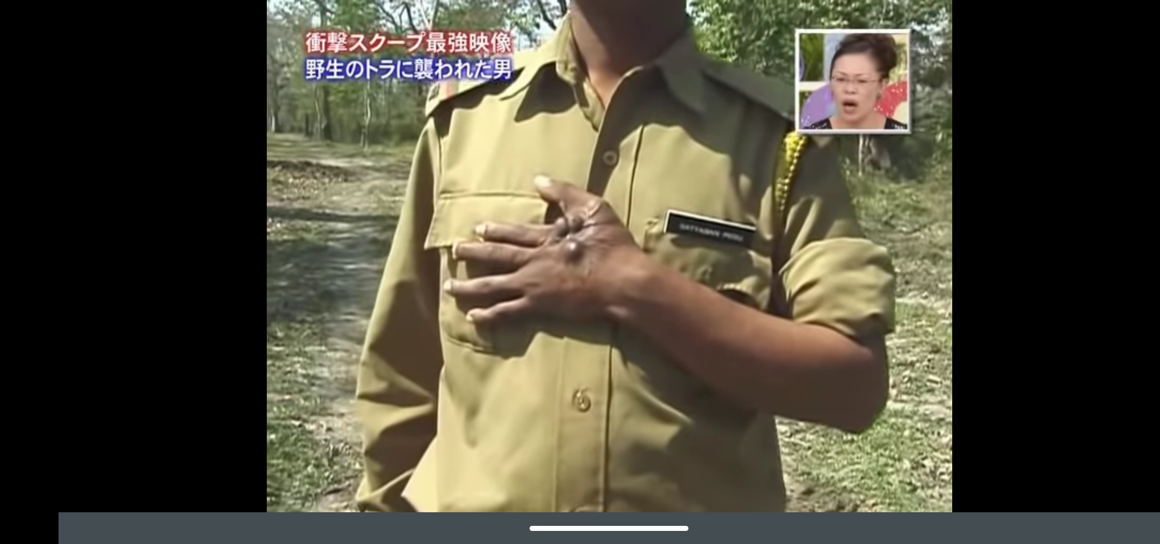 陸上で2番目に強い野生動物って何だと思いますか？