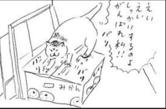猫の爪とぎに困っている飼い主さん必見！ 爪とぎの原因と対策6つ