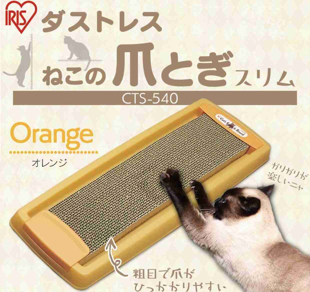 猫の爪とぎに困っている飼い主さん必見！ 爪とぎの原因と対策6つ