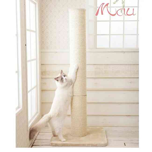 猫の爪とぎに困っている飼い主さん必見！ 爪とぎの原因と対策6つ
