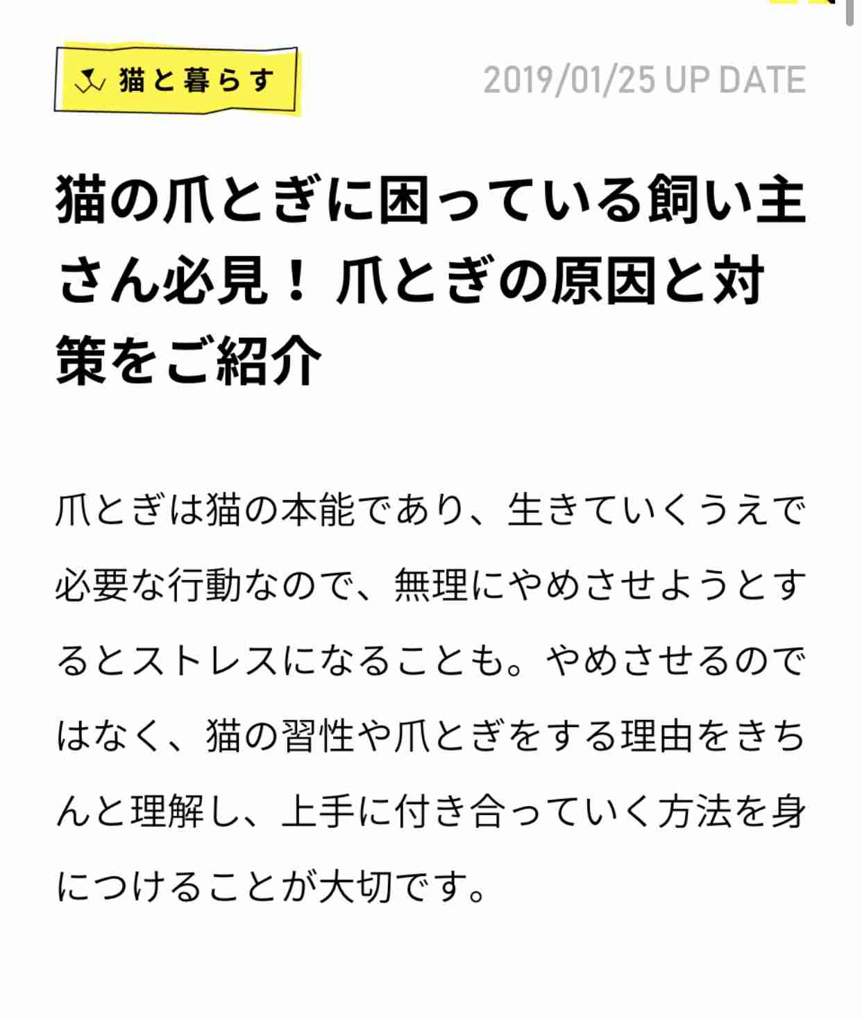 猫の爪とぎに困っている飼い主さん必見！ 爪とぎの原因と対策6つ