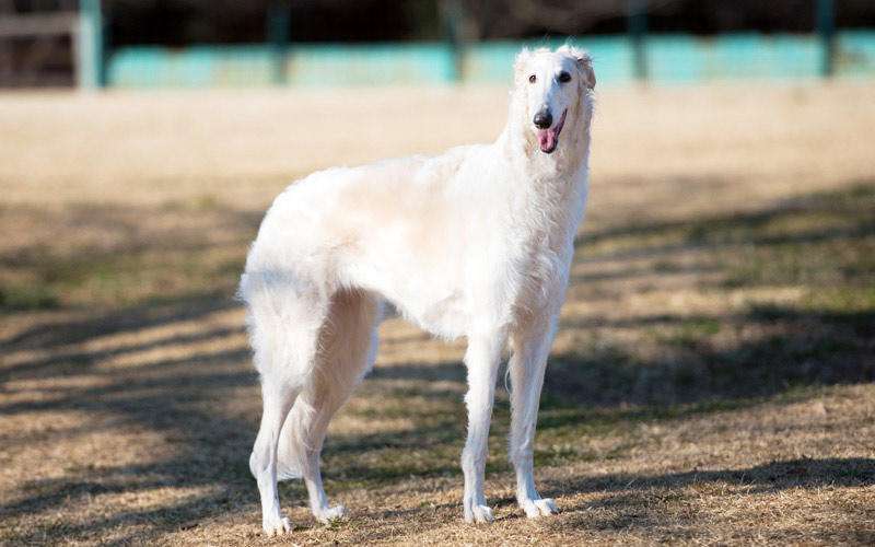 誰も信じてくれない不思議な経験ありますか？ part5