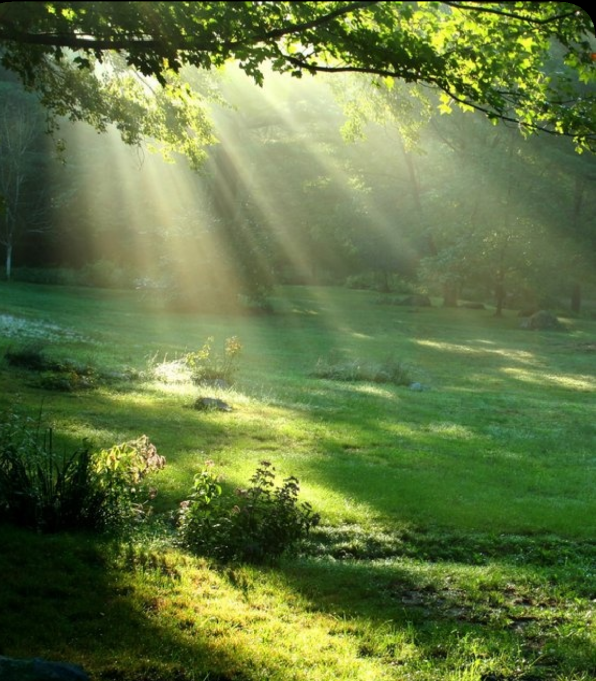 誰も信じてくれない不思議な経験ありますか？ part5