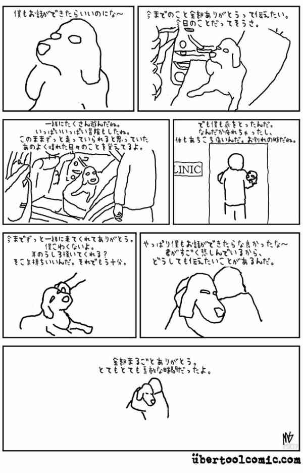 亡くなったペットの思い出を語りませんか part3