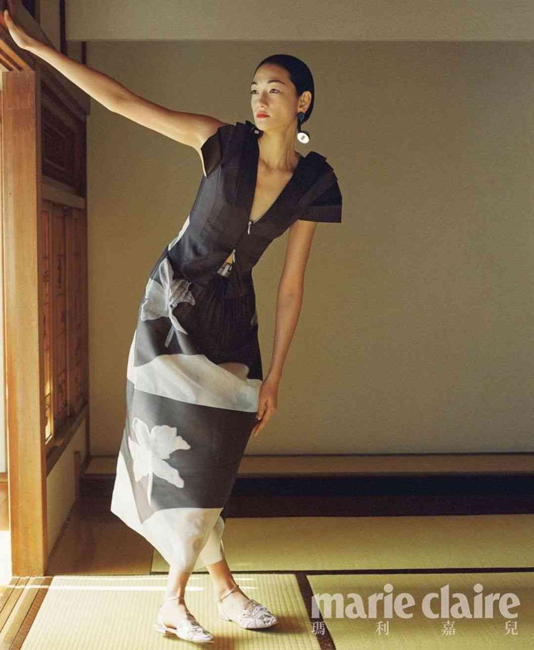 ハイブランドのファッションが似合う芸能人の画像を貼るトピ