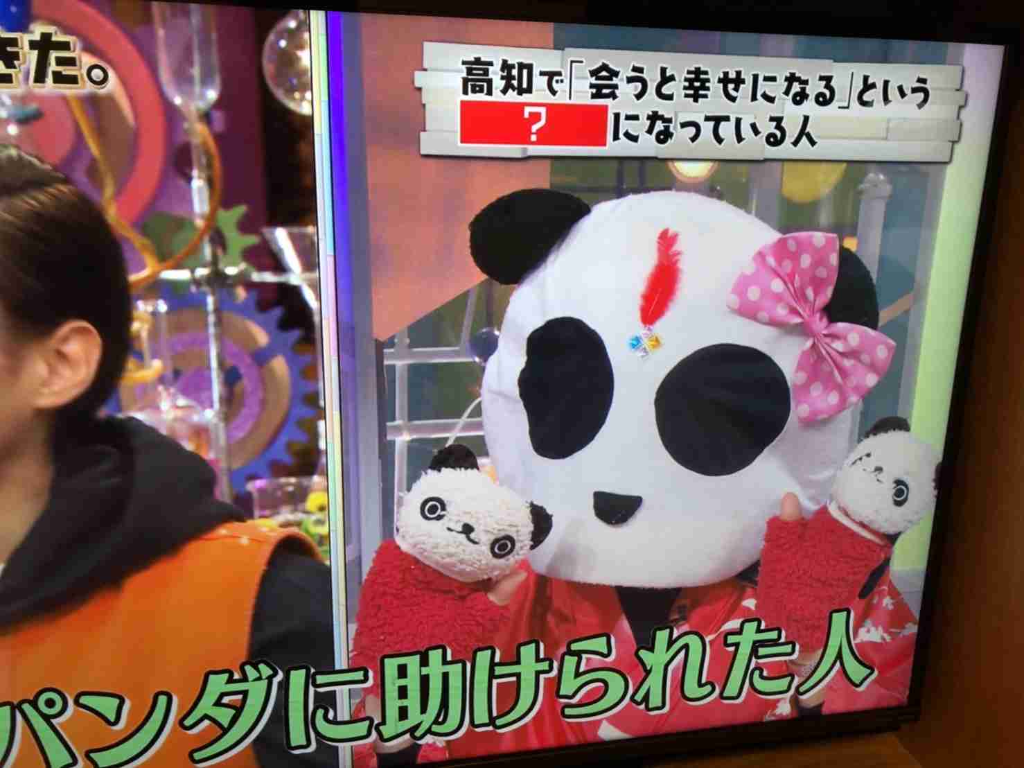 高知県民あつまれ❗